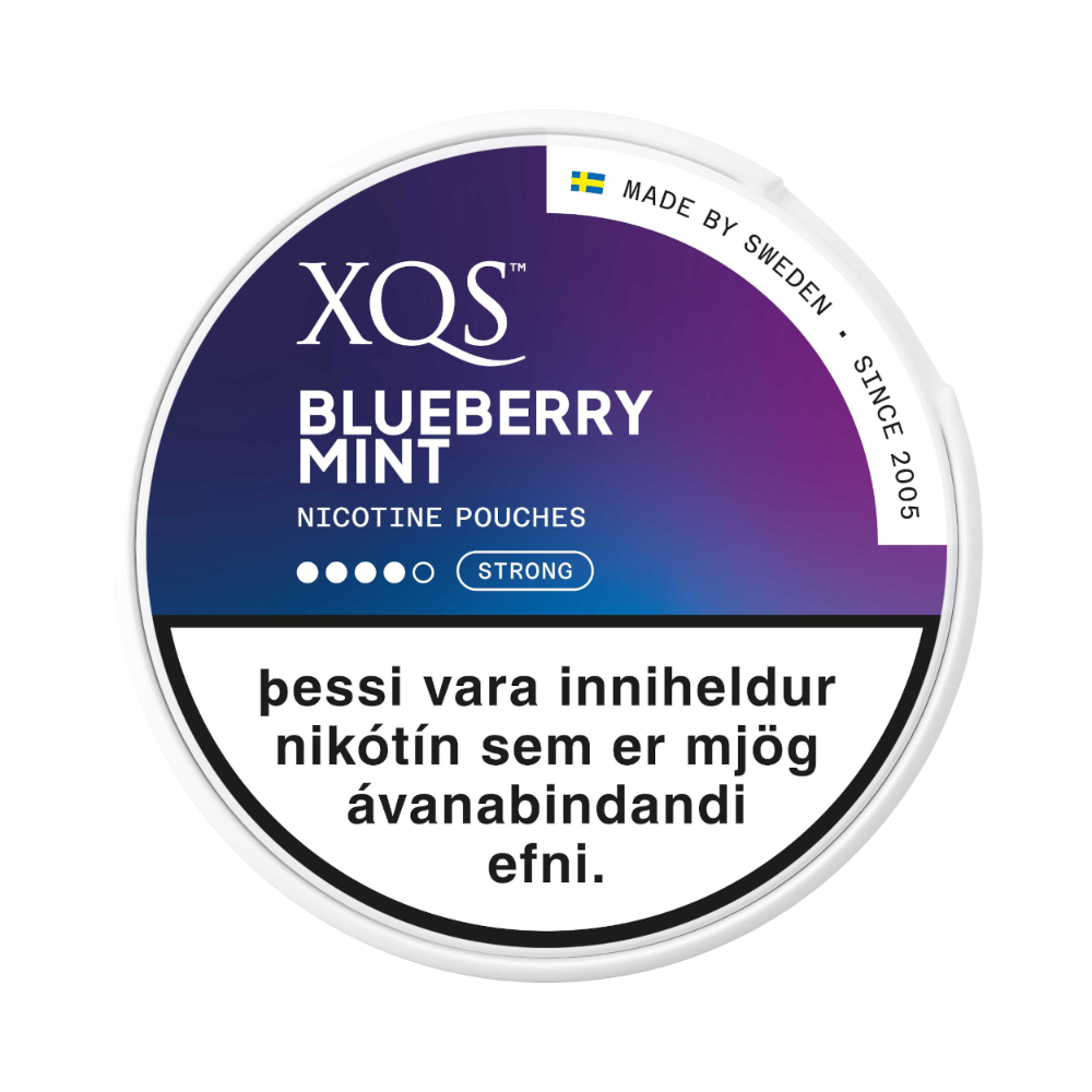 XQS Blueberry Mint 4
