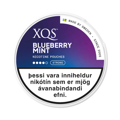 XQS Blueberry Mint 4